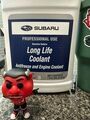 SOA868V9210 - : Factory Fill Long Life Coolant for Subaru Image