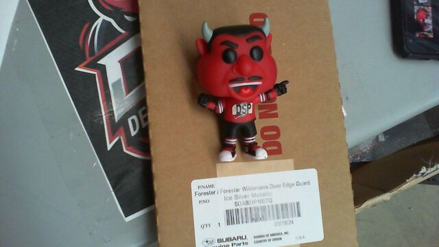 SOA801P100TQ - Exterior: Door Edge Guards - Ice Silver Metallic for Subaru: Forester Image