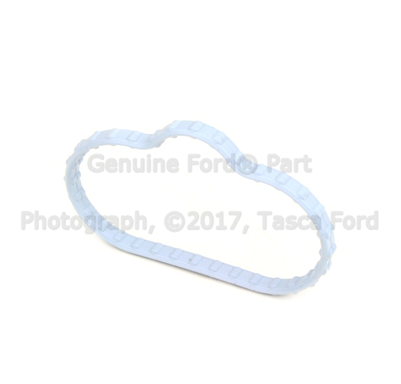 1R8Z9439AA - Fuel System: Manifold Gasket for Ford Image