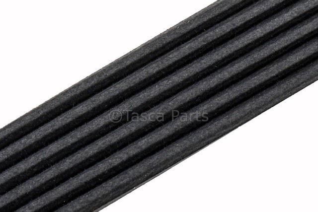 12642434 - : V-Ribbed Serpentine Belt for GM Image