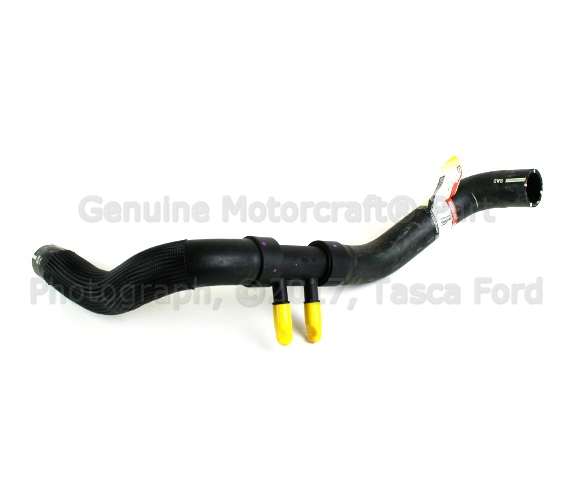 8A8Z8286A - Cooling System: Lower Hose for Ford: Flex, Police Interceptor Sedan, Taurus | Lincoln: MKT Image