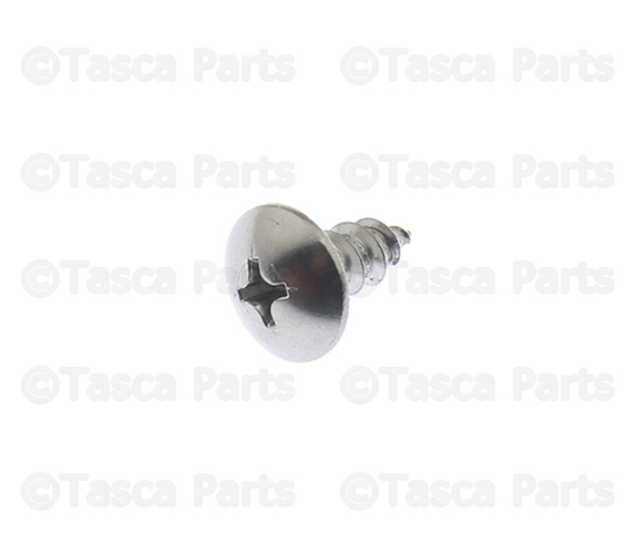 854051290 - Body: Cover Screw for Nissan Image