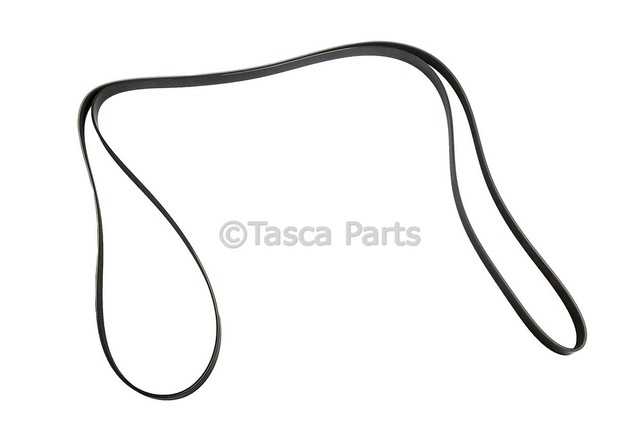 12649154 - : V-Ribbed Serpentine Belt for GM Image