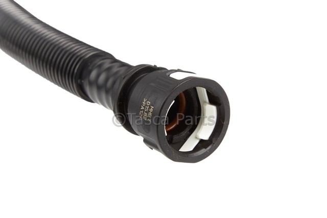 23156463 - Emission System: Vapor Canister for GM Image