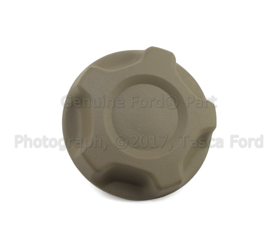 9L3Z1561199CA - Body: Handle for Ford: F-150 Image