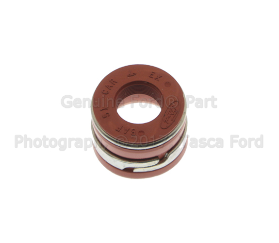 F2TZ6571A - Engine: Exhaust Valve Seals for Ford: Bronco, E-150 Econoline, E-150 Econoline Club Wagon, E-250 Econoline, E-250 Econoline Club Wagon, E-350 Econoline, E-350 Econoline Club Wagon, Econoline Super Duty, F-150, F-250, F-250 HD, F-350, F-Super Duty, Mustang, Thunderbird | Lincoln: Mark VII, Town Car | Mercury: Cougar Image