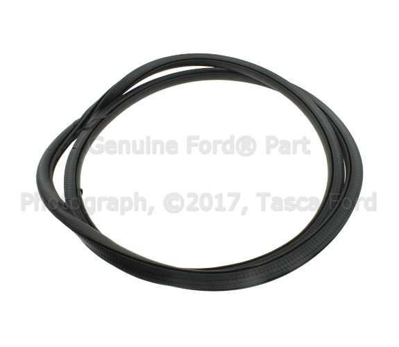 DS7Z5420708B - : Weather-Strip On Body for Ford Image