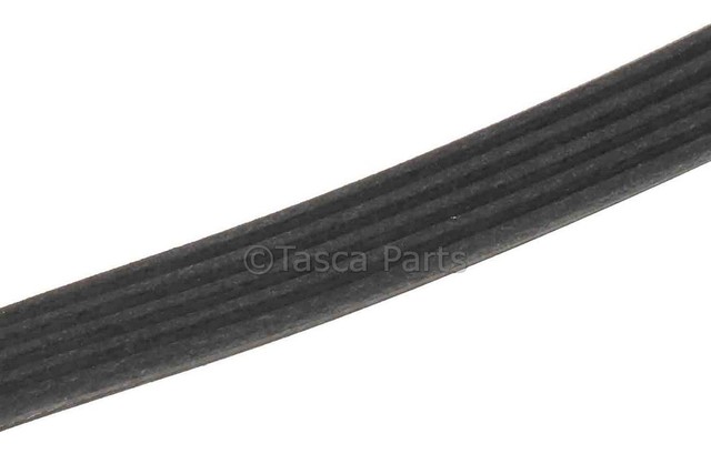 2018-2025 GM V-Ribbed Serpentine Belt 12654472 | TascaParts.com