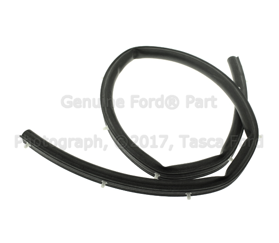 AR3Z16740A - Body: Rear Seal for Ford: Mustang Image