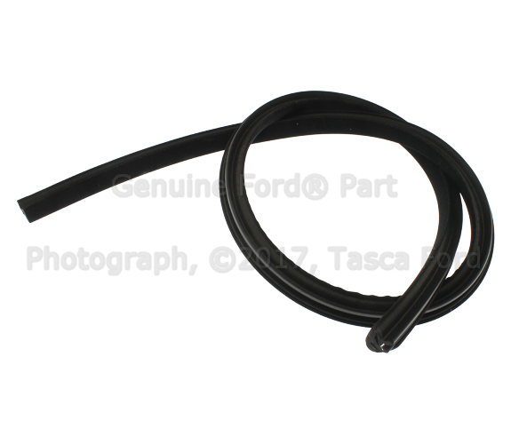 4W1Z5425560BA - Body: Window Trim for Ford Image