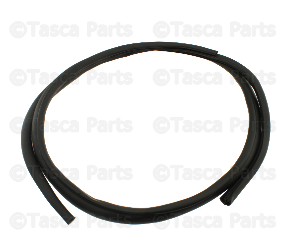 769219Z807 - Body: Opening Trim for Nissan Image