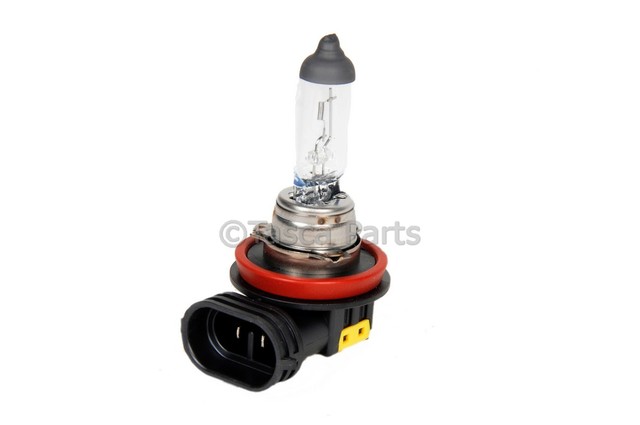 13500802 - Electrical: Fog Lamp Bulb for GM Image