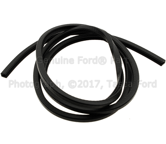 1L5Z99467A00BA - Body: Edge Guard for Ford: Explorer Sport Trac Image