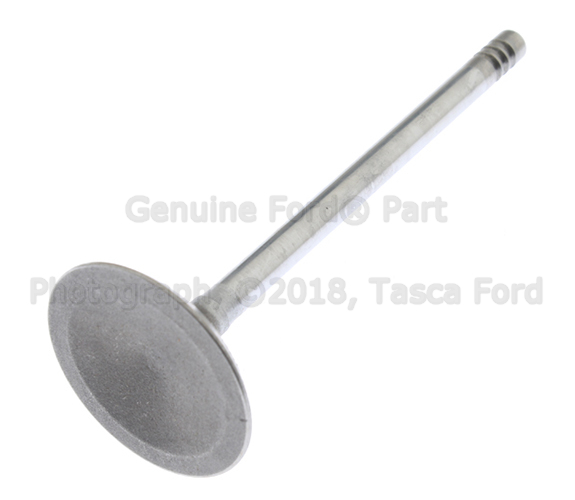 YF1Z6507BA - Engine: Intake Valve for Ford Image