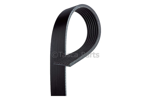 12634319 - Cooling System: Serpentine Belt for Buick: LaCrosse, Regal, Verano | Chevrolet: Captiva Sport, Classic, Cobalt, Equinox, HHR | GMC: Terrain | Oldsmobile: Alero | Pontiac: G5, Grand Am Image