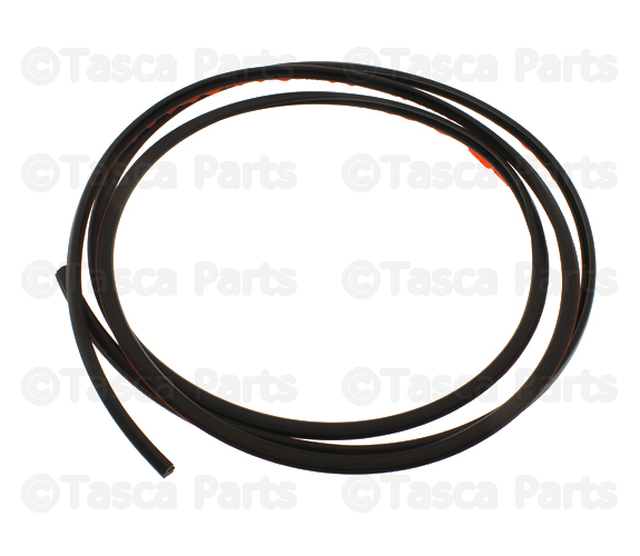 30698786 - : Lift-Gate Glass Seal for Volvo Image