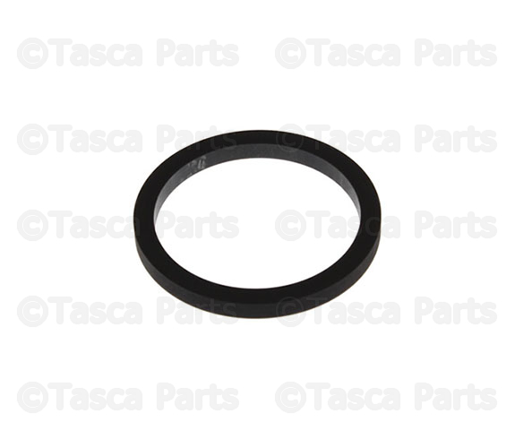 4429697 - : Seal, Water Outlet for Dodge: Ram 2500, Ram 3500 | Ram: 2500, 3500 Image