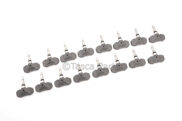 19303501 - Wheels: Tire Pressure Monitor (Clamp In) for GM Image