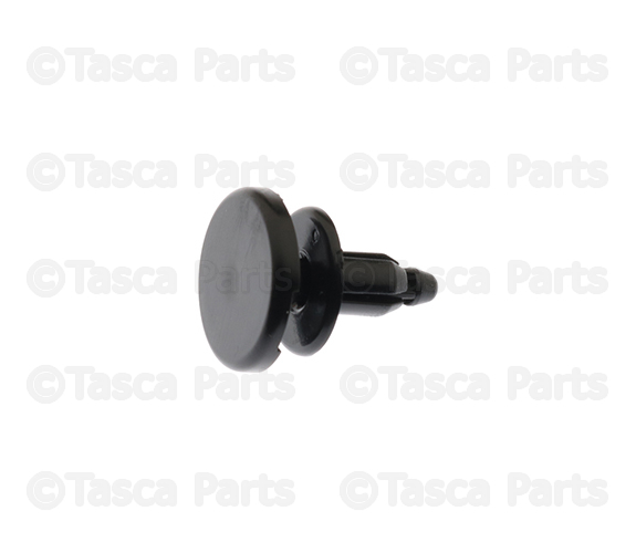 155301743 - Body: Reservoir Tank Clip for Nissan Image