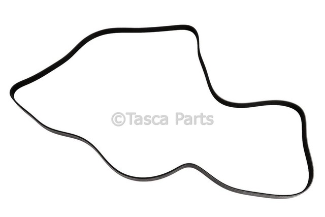 12636137 - Cooling System: Serpentine Belt for GM Image