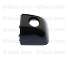 6FX82KXJAC - : Door Handle Cap, Left for Ram: 1500 Image