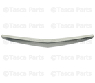 20907953 - Body: Molding for GM Image