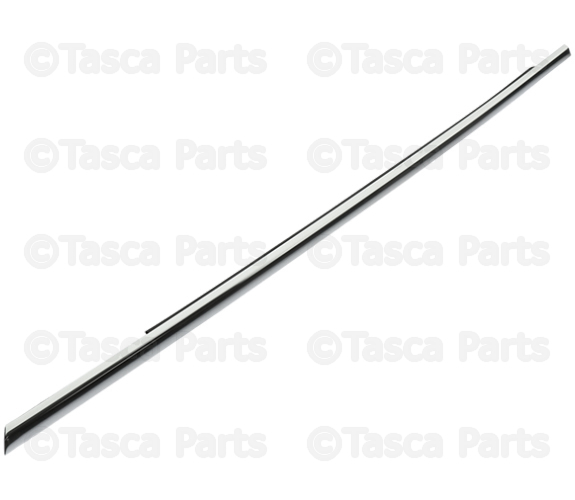 Trim Molding 31479532 | TascaParts.com