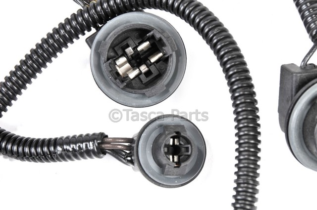 20840281 - Electrical: Socket &amp; Wire for GM Image