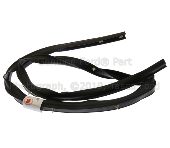 8L2Z78253A45A - Body: Lower Weather-strip for Ford: Explorer | Mercury: Mountaineer Image