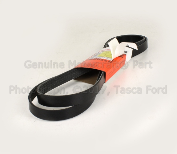 1F1Z8620BB - Cooling System: Alternator Belt for Ford Image