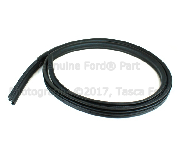 8S4Z5420709A - Body: Door Weather-strip for Ford: Focus Image