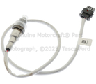DY160 - Emission System: Motorcraftâ„¢ Lower Oxygen Sensor for Ford Image