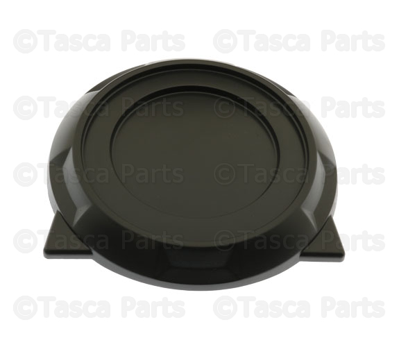 266129CJ0B - : Lens - Passenger Side (RH) for Nissan Image