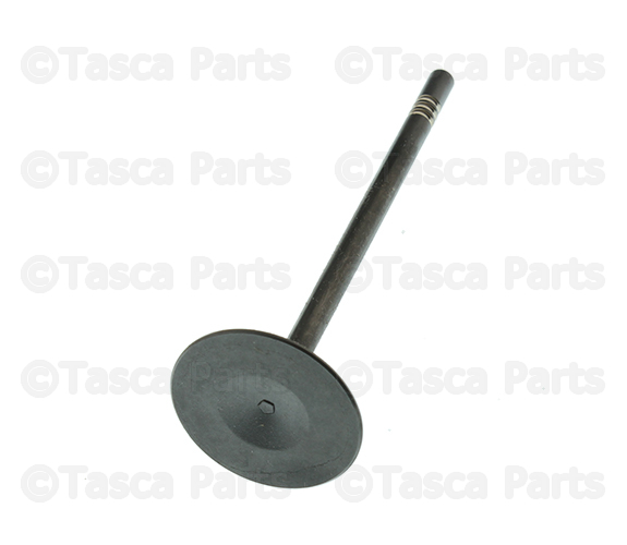 5184127AC - Engine: Intake Valve for Chrysler: 200, 300, Town &amp; Country | Dodge: Avenger, Challenger, Charger, Durango, Grand Caravan, Journey | Jeep: Grand Cherokee, Wrangler, Wrangler JK | Ram: 1500, 1500 Classic, C/V, ProMaster 1500, ProMaster 2500, ProMaster 3500 Image
