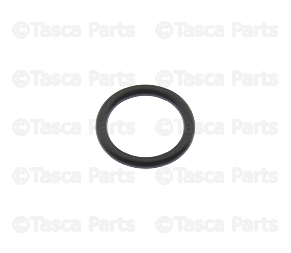 221315M005 - Electrical: Camshaft Sensor O-Ring for Nissan Image