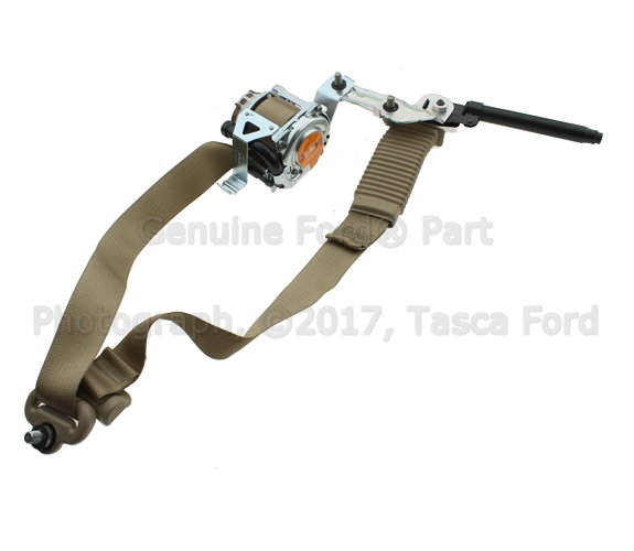 FL3Z16611B09AD - Electrical: Outer Belt for Ford: F-150 Image
