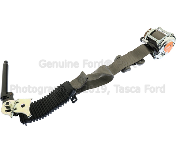 GL3Z15611B09AA - Electrical: Outer Belt for Ford: F-150, F-350 Super Duty Image