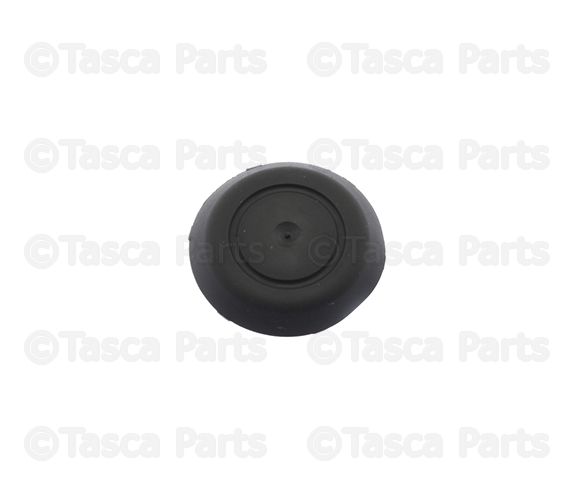 15788083 - Body: Sight Shield Plug for GM Image