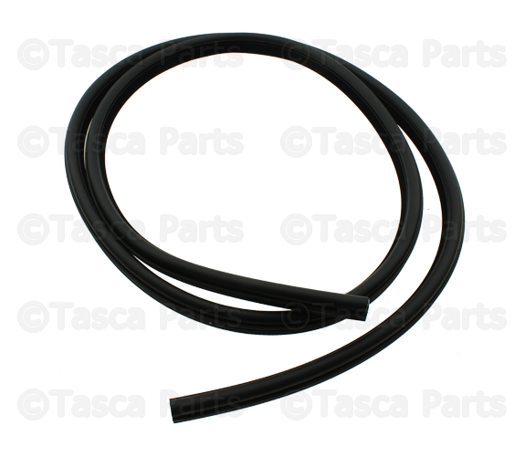 1KW36DX9AI - : Rear Door Body Mounted Weatherstrip for Dodge: Charger Image