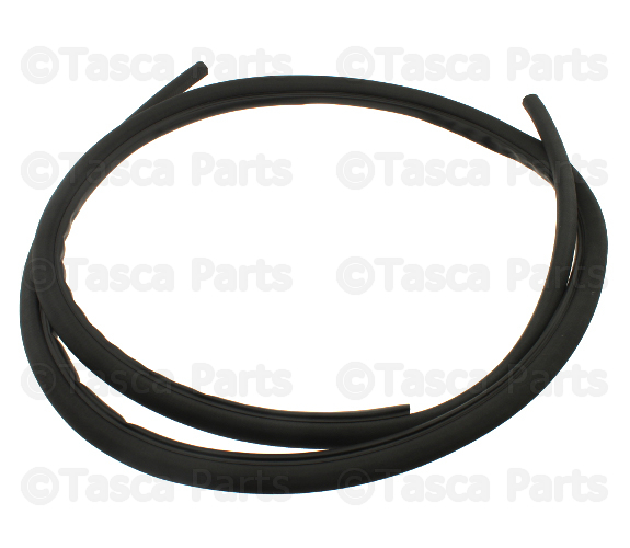 769229Z807 - Body: Opening Trim for Nissan Image