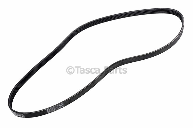 55565302 - : V-Ribbed Serpentine Belt for GM Image