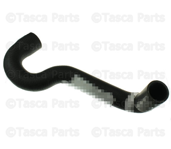 215034S100 - Cooling System: Lower Hose for Nissan Image