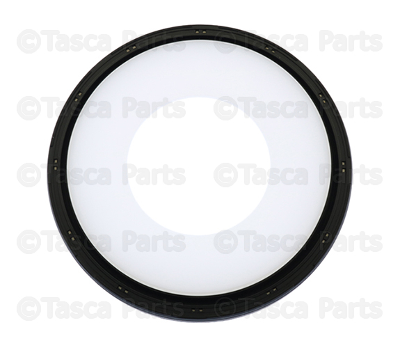 Crankshaft Rear Oil Seal 12665076 | TascaParts.com