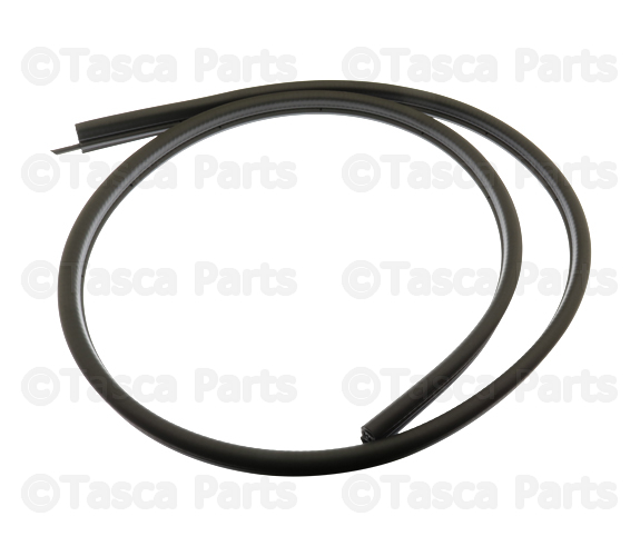 5112259AE - : Lift-Gate Glass Weatherstrip for Jeep: Liberty Image