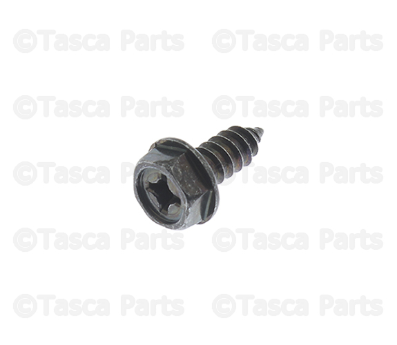 85666162A - Electrical: Combo Lamp Assembly Screw for Nissan: 370Z, Altima, Cube, GT-R, Juke, LEAF, Murano, NV200, Pathfinder, Rogue, Rogue Select, Sentra, TITAN, TITAN XD, Versa, Versa Note, Z Image