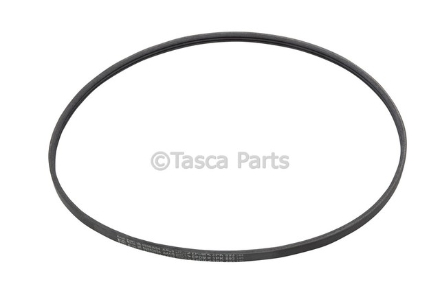 55583054 - : V-Ribbed Serpentine Belt for GM Image