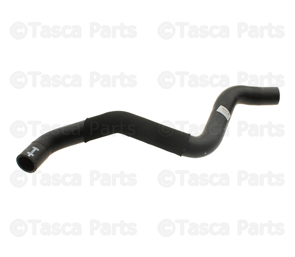 30681899 - Cooling System: Lower Hose for Volvo Image