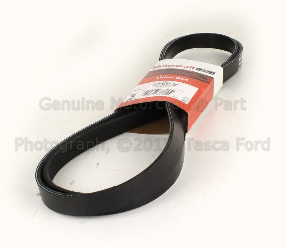 1F1Z8620AD - Maintenance &amp; Lubrication: Belt for Ford Image