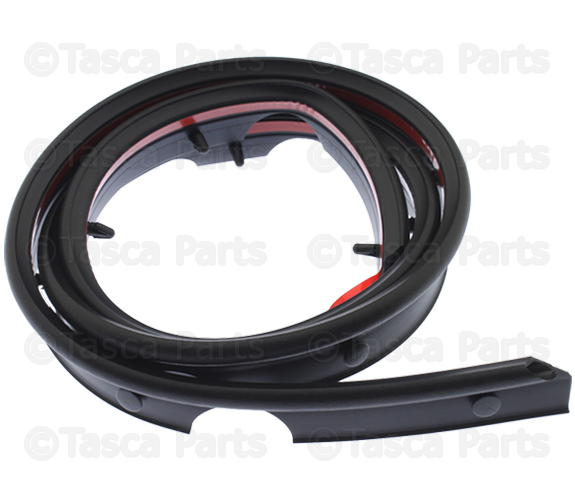 2016-2023 Nissan Maxima Rubber Strip 65820-4RA0B