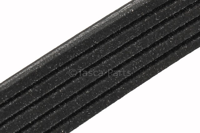 55578811 - : V-Ribbed Serpentine Belt for GM Image